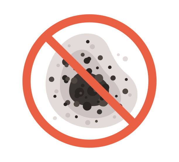 Best Black Mold Removal  in South Oroville, CA