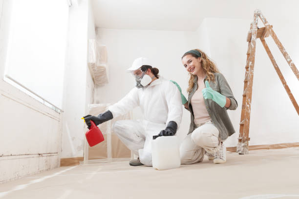 Best Dehumidification Services  in South Oroville, CA